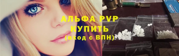 PSILOCYBIN Лиски