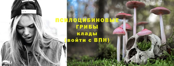 дурь Липки